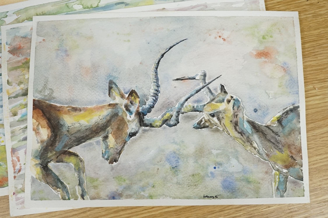Baris Ali Kibar (Contemporary), ten watercolours on card, Wildlife to include ducks, horses, kingfisher and African wildlife, some signed, unframed, 21 x 29cm. Condition - fair